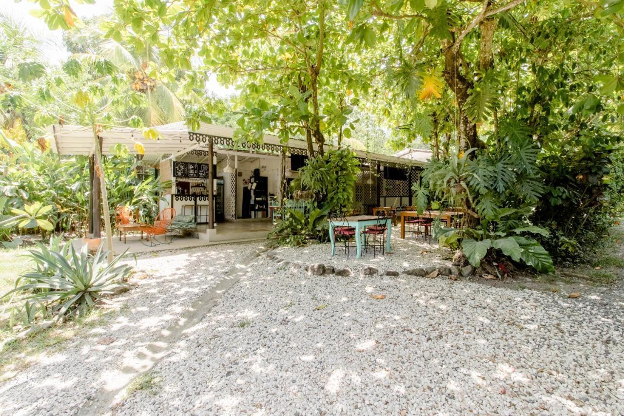 Bajo El Arbol B&B Playa Santa Teresa  Ngoại thất bức ảnh