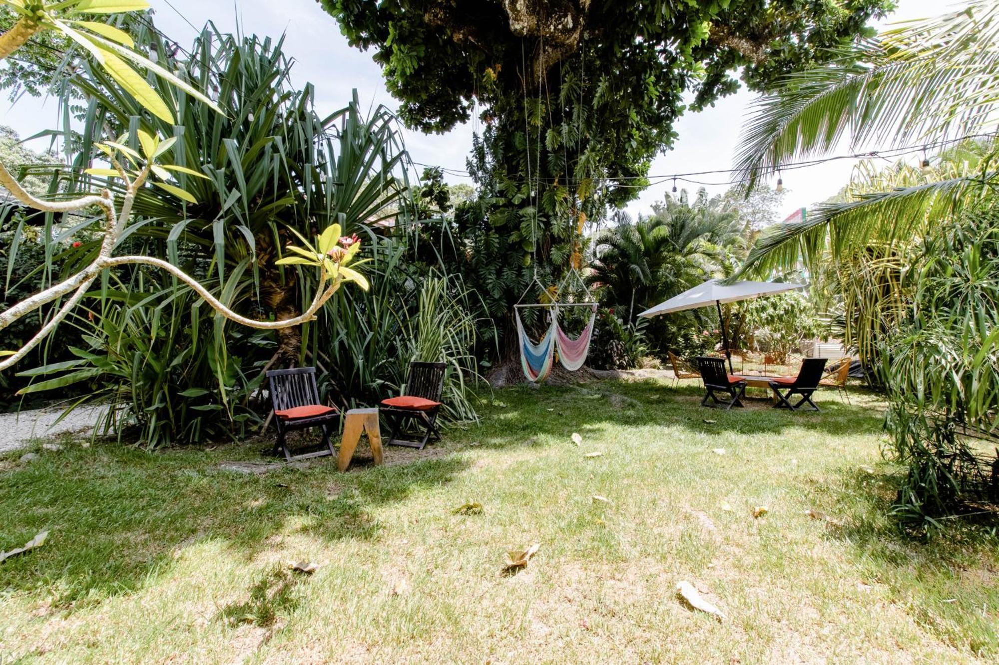 Bajo El Arbol B&B Playa Santa Teresa  Ngoại thất bức ảnh