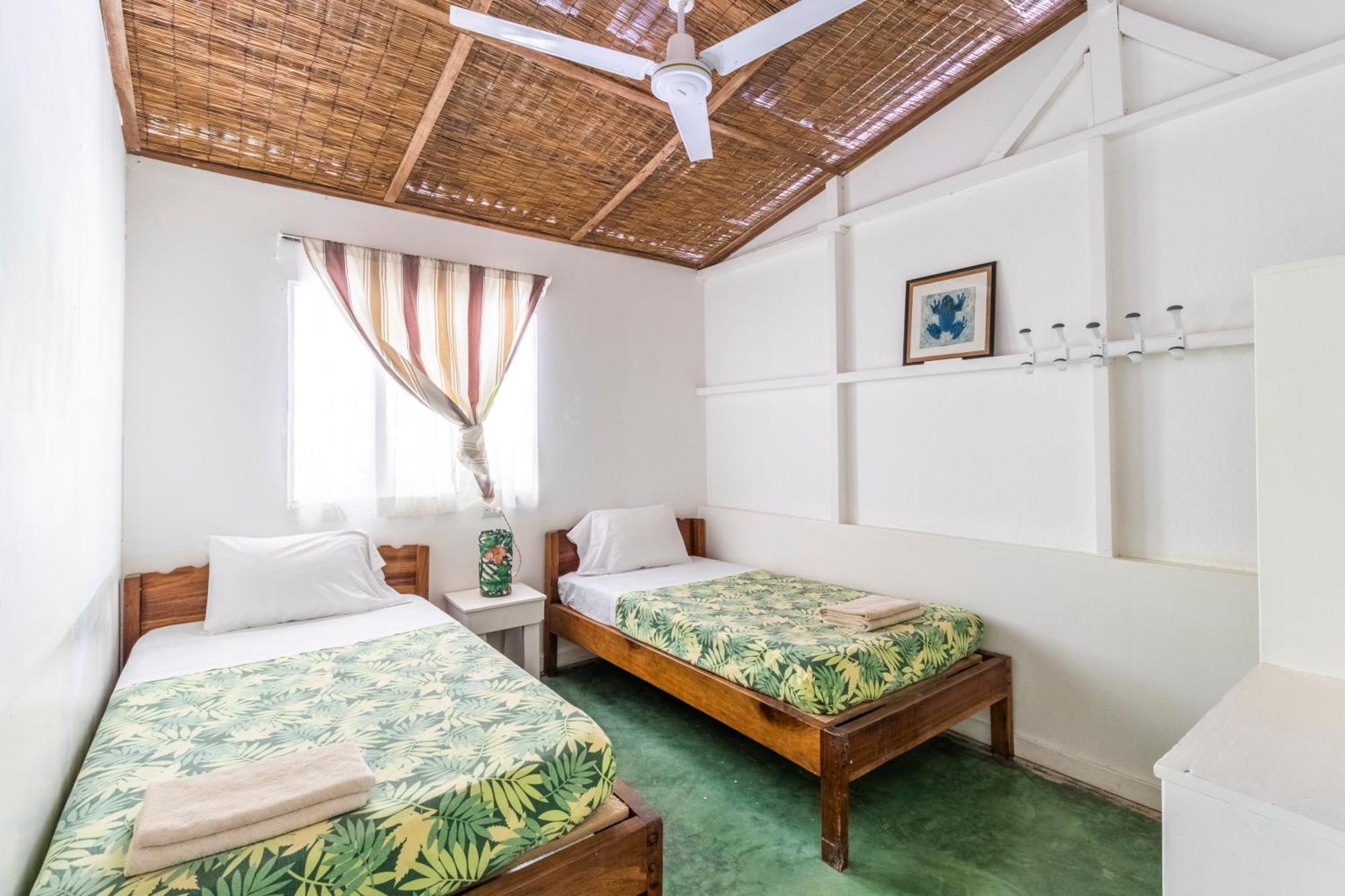 Bajo El Arbol B&B Playa Santa Teresa  Ngoại thất bức ảnh