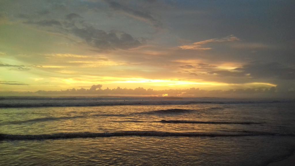 Bajo El Arbol B&B Playa Santa Teresa  Ngoại thất bức ảnh
