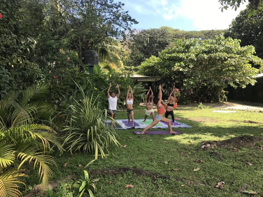 Bajo El Arbol B&B Playa Santa Teresa  Ngoại thất bức ảnh