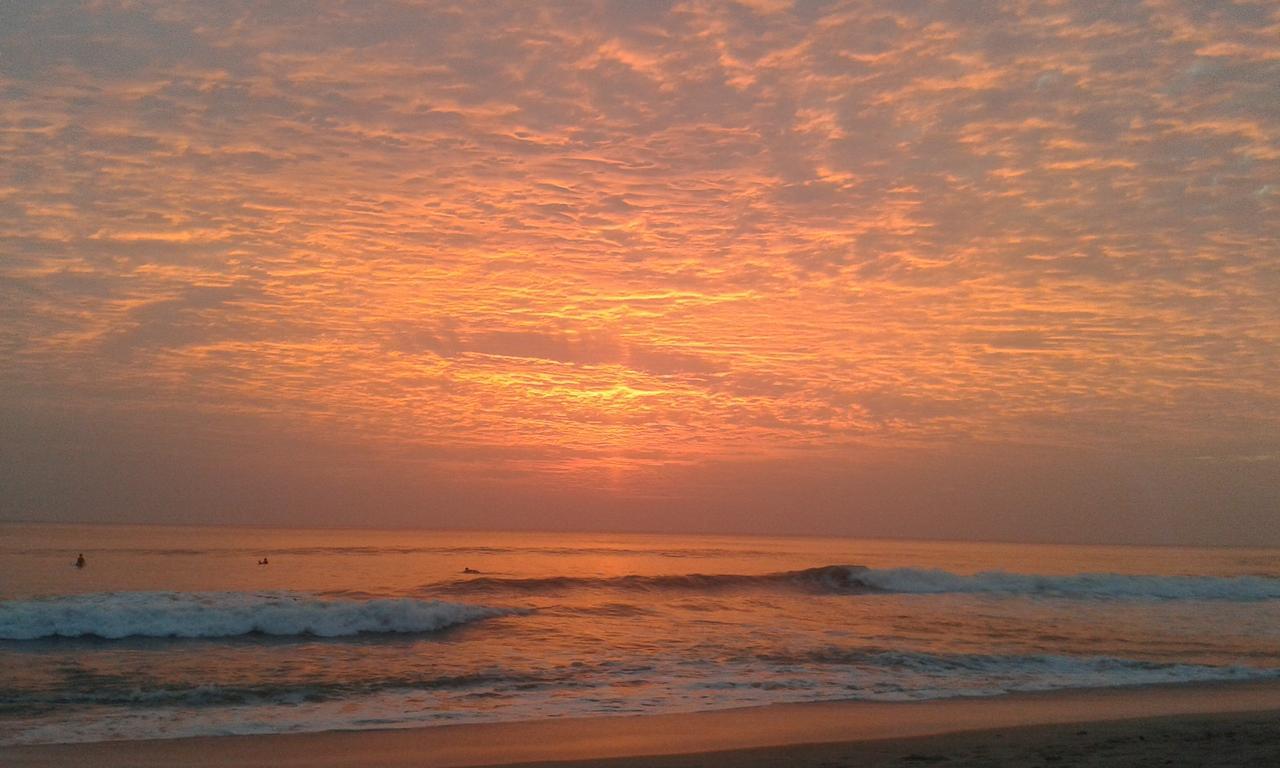 Bajo El Arbol B&B Playa Santa Teresa  Ngoại thất bức ảnh